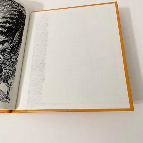 Vtg 1981 The Birch Bark Caper Book by Stanley Burke Roy Peterson - Picture 15 of 16